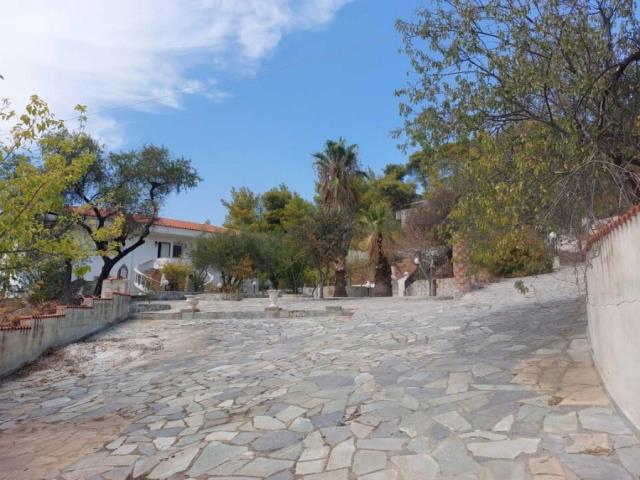 (Προς Πώληση) Λοιπά Ακίνητα Λοιπές κατηγορίες || Ν. Κορινθίας/Λουτράκι-Περαχώρα - 422 τ.μ, 400.000€ 